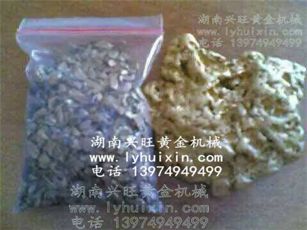 黃金豐收 (8) 黃金豐收 (8)
